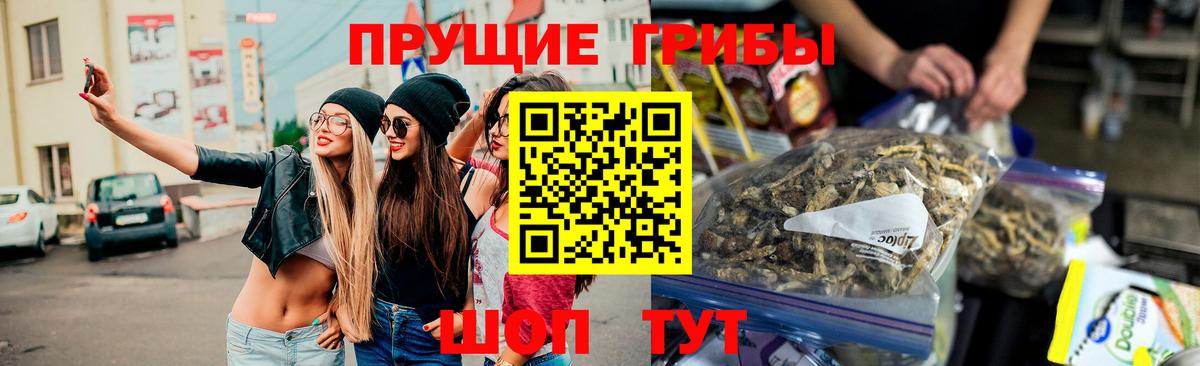 Псилоцибиновые грибы мухоморы  Псилоцибиновые грибы Psilocybine cubensis  Вход с VPN  Миллерово 