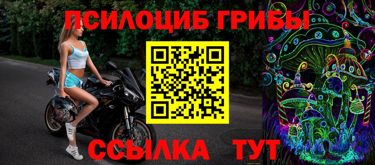 Псилоцибиновые грибы Psilocybine cubensis Миллерово